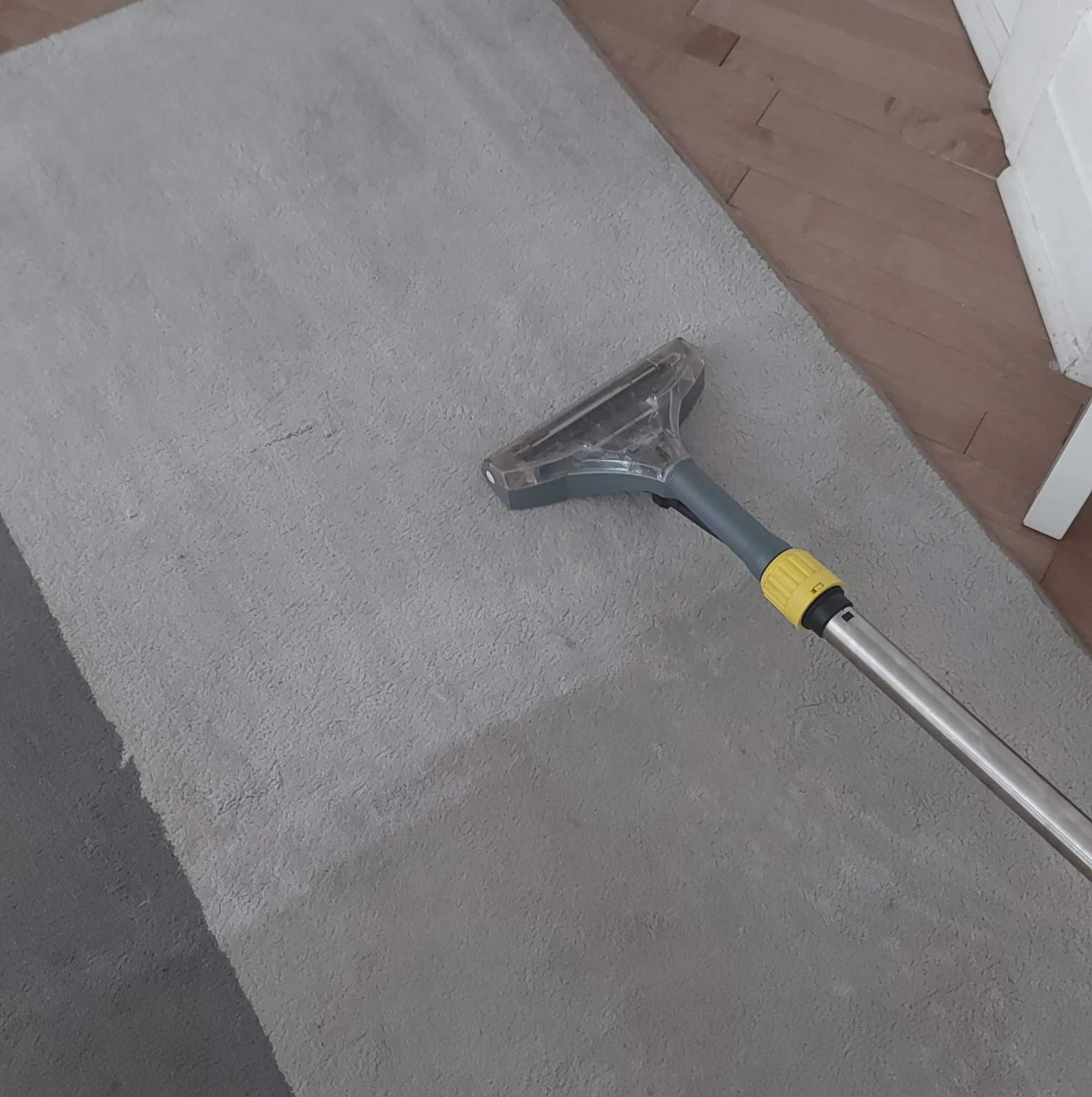 rug-cleaning-mtl area-rug-cleaning